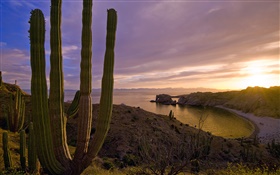 夕阳西下，群山，大海，圣卡塔利娜岛，美国加利福尼亚州 高清壁纸
