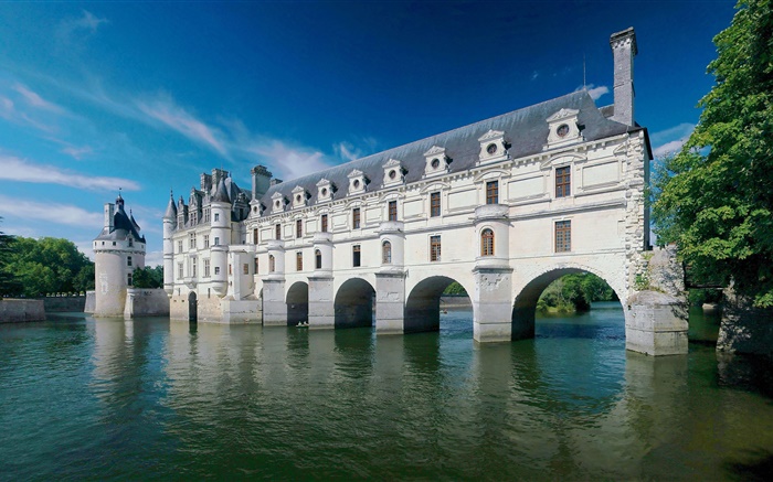 雪浓梭城堡，法国，河，夏天 壁纸 图片