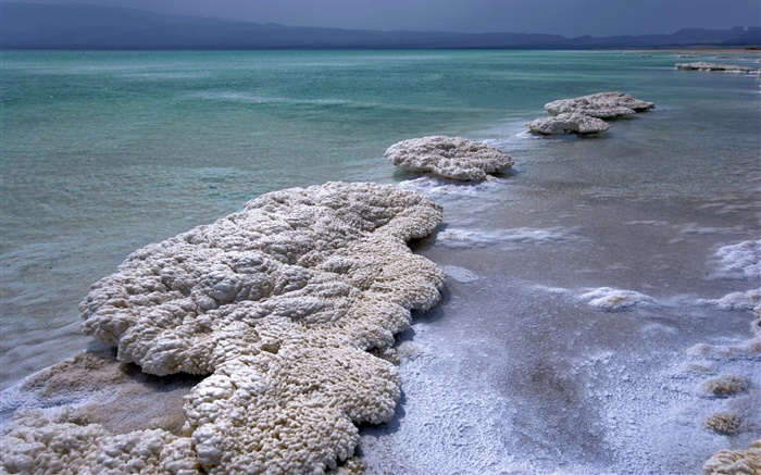 死海，黄昏，盐 壁纸 图片