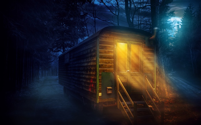 森林，夜，满月，木房子，灯 壁纸 图片