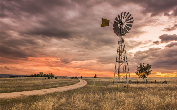 新南威尔士州，澳大利亚，草，风车，云，日落 壁纸 图片