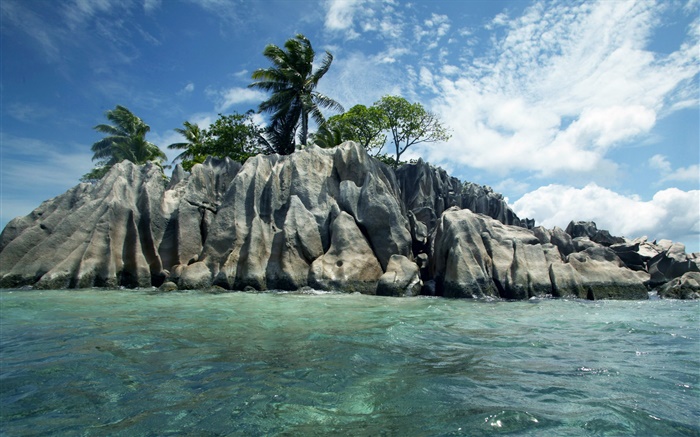 海，石，树，云，塞舌尔岛 壁纸 图片