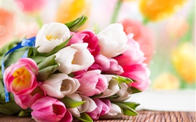 春天，郁金香，花，白，粉