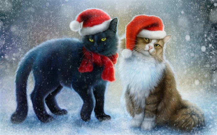 两只猫，雪，围巾，圣诞帽 壁纸 图片