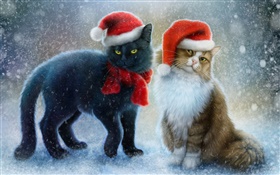 两只猫，雪，围巾，圣诞帽 高清壁纸
