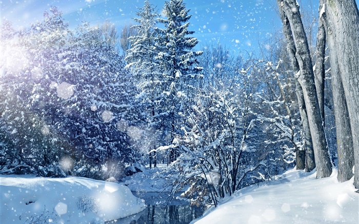 冬季，森林，树木，河流，厚厚的积雪 壁纸 图片
