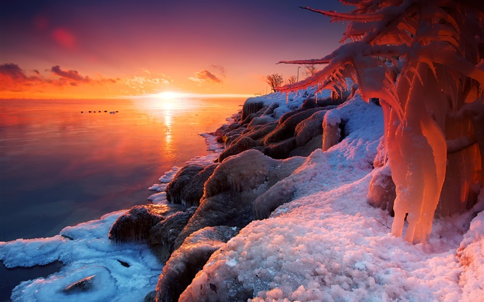 冬季，日出，湖，冰，雪，美丽的风景 壁纸 图片