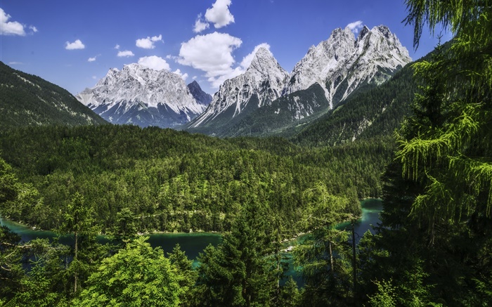 阿尔卑斯山，巴伐利亚，德国，山脉，森林，河流 壁纸 图片