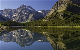加拿大景观，湖，山，林，水中的倒影