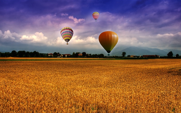 农场，场，热气球，天空，云，房屋，村庄 壁纸 图片