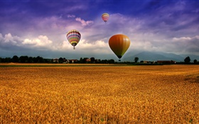 农场，场，热气球，天空，云，房屋，村庄
