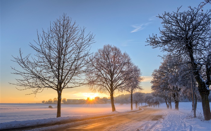 德国，冬天，雪，树木，道路，房屋，夕阳 壁纸 图片