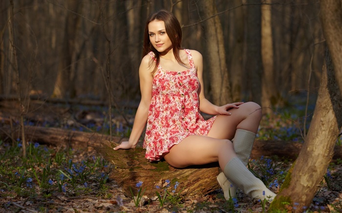女孩坐在森林，腿，红裙子，姿势 壁纸 图片