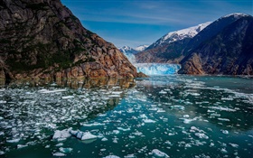 冰川湾国家公园，阿拉斯加，美国，高山，冰川，冰，湖 高清壁纸