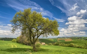 意大利，自然风光，群山，田野，房子，树，春天 高清壁纸