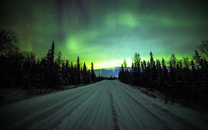 北极光，道路，松树，星星 壁纸 图片