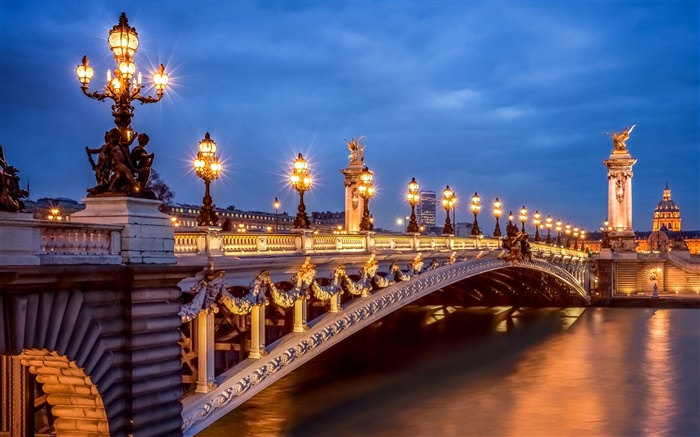 巴黎，法国，晚上，灯，桥 壁纸 图片