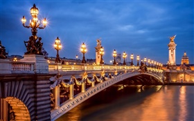 巴黎，法国，晚上，灯，桥