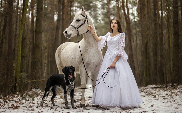 复古风格，白色礼服的女孩，马，狗，森林 壁纸 图片