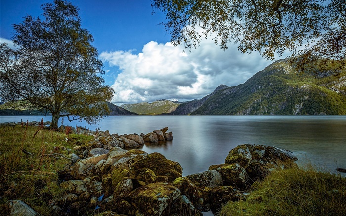 罗加兰，挪威，湖，山，树，怪石，云海 壁纸 图片
