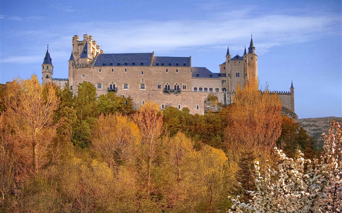 西班牙，塞哥维亚城堡，宫殿，树，天空，秋天 壁纸 图片