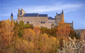 西班牙，塞哥维亚城堡，宫殿，树，天空，秋天 高清壁纸