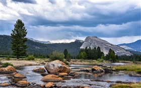 美国，加利福尼亚州优胜美地国家公园，森林，山，云，岩石