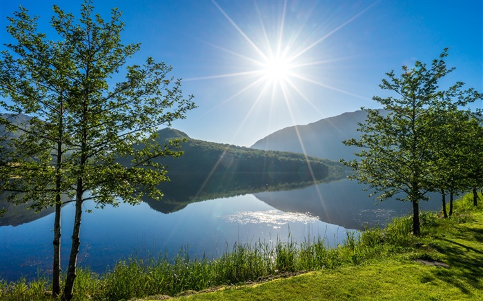 Vigesaa，罗加兰，挪威，湖泊，树木，阳光 壁纸 图片