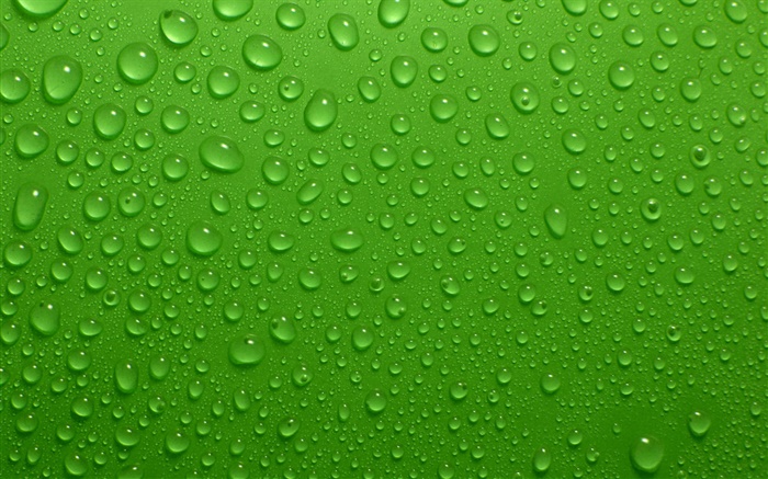 水滴，绿色背景 壁纸 图片