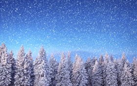 冬季，云杉树，蓝色的天空，雪花，雪