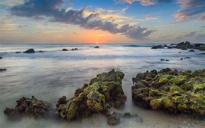 阿鲁巴岛，加勒比，岚湾，石，海，海岸，日落，云 壁纸 图片