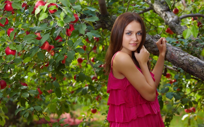 蓝眼睛的女孩，红色的衣服，苹果树，红苹果 壁纸 图片