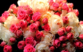 花束玫瑰鲜花，红色和白色 高清壁纸