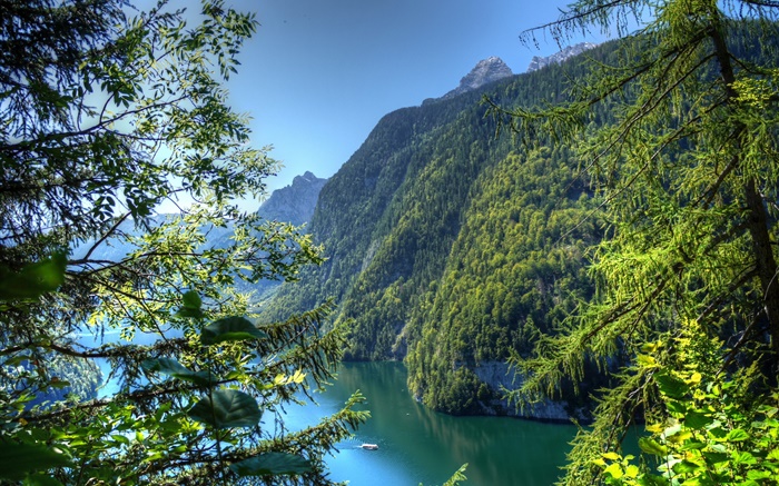 德国，巴伐利亚，山脉，森林，树木，河流 壁纸 图片