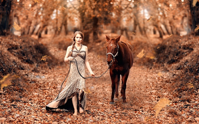 女孩和马，秋天，黄叶 壁纸 图片