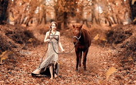 女孩和马，秋天，黄叶 高清壁纸