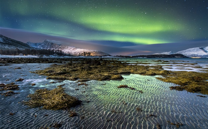 挪威，北极光，夜晚，星星，海，海岸，冬天，雪 壁纸 图片