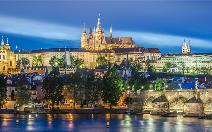 布拉格，捷克共和国，河，桥，圣维特大教堂，夜晚，灯 壁纸 图片
