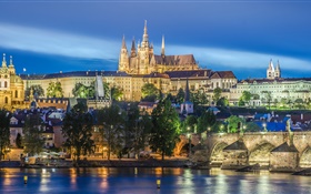 布拉格，捷克共和国，河，桥，圣维特大教堂，夜晚，灯