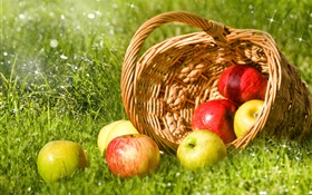 红色和绿色的苹果，水果，篮子，草 高清壁纸