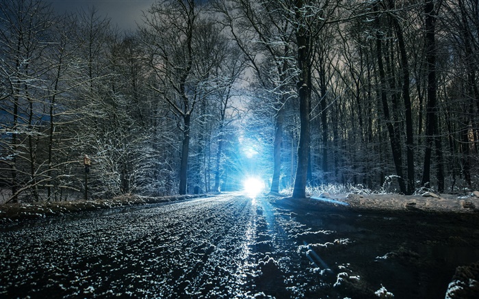 冬季，道路，树木，洞，雪，灯 壁纸 图片