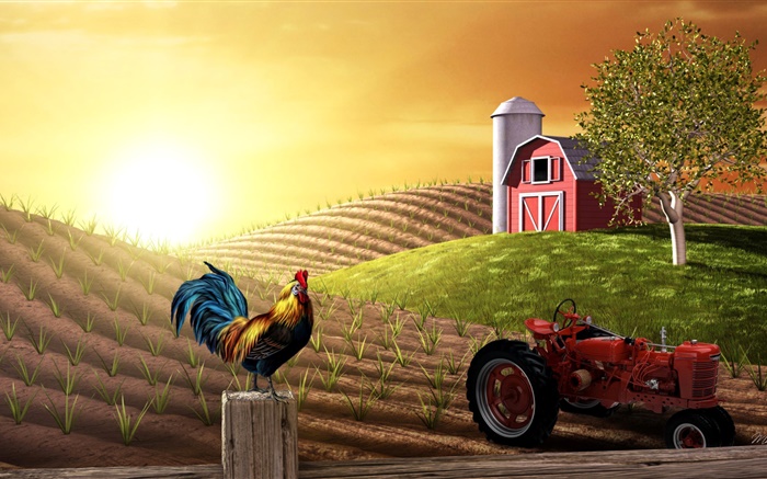 3D图片，农场，场，拖拉机，公鸡，房子，太阳 壁纸 图片