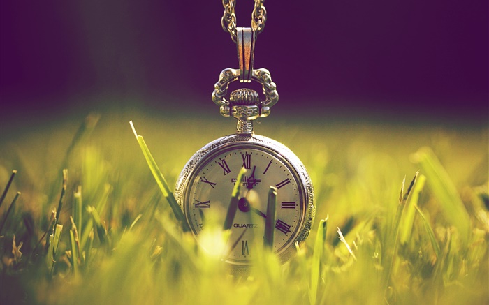 时钟在草地上，绿色，阳光 壁纸 图片