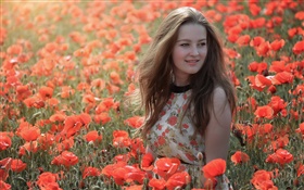 女孩在花场，红色罂粟花，夏天 高清壁纸
