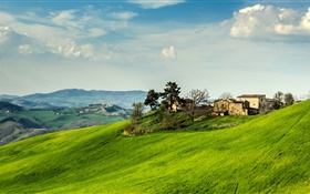 意大利，边坡，草，房子，树，云