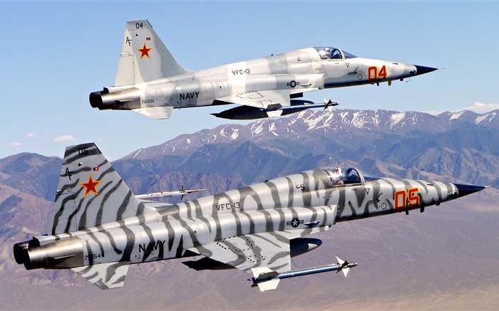 诺斯罗普F-5自由斗士，虎II 壁纸 图片