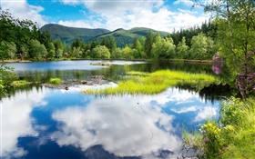 苏格兰，英国，绿地，树木，高山，湖泊，水中的倒影
