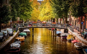 阿姆斯特丹，荷兰，桥梁，河流，船只，房屋，树木，秋天 高清壁纸