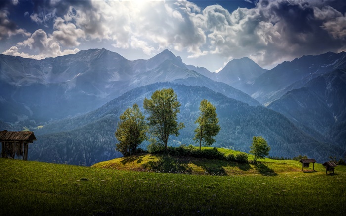 奥地利，山，树，云，草 壁纸 图片