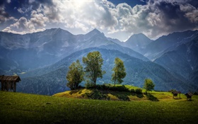 奥地利，山，树，云，草